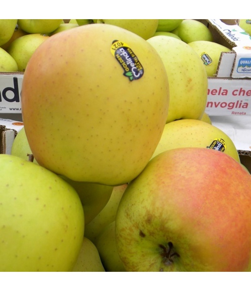 MELA GIALLA Golden Delicious MELINDA  Prezzo al KG