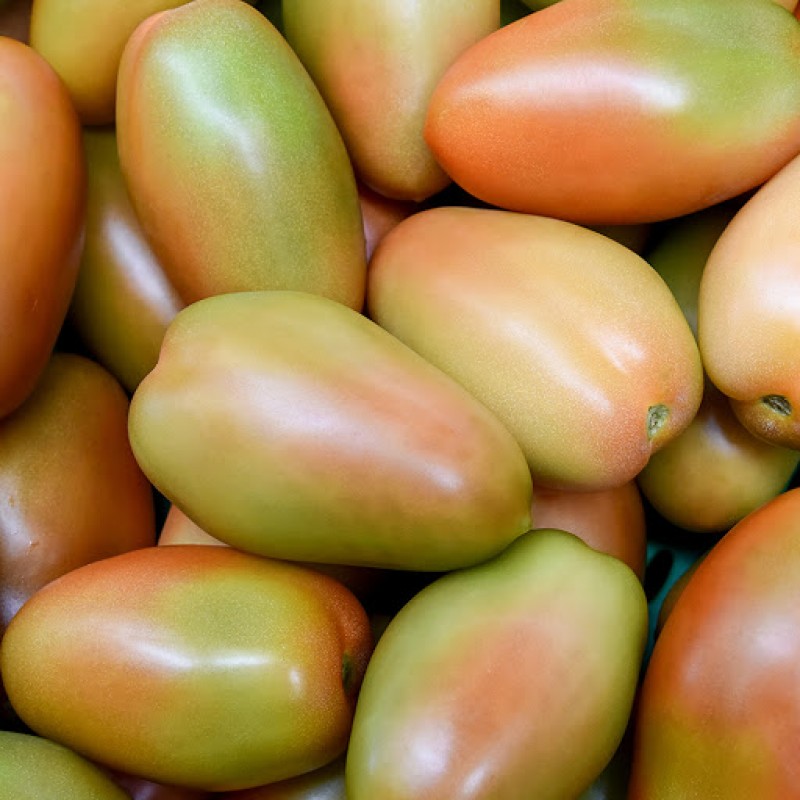 POMODORI PER INSALATA LUNGHI  Prezzo al Kg